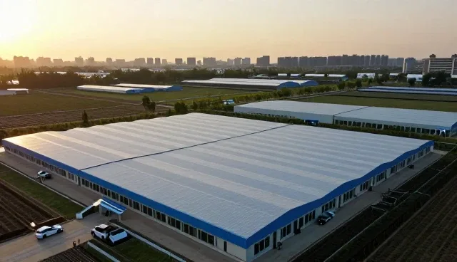 网络技术服务的维护建议与业务发展趋势分析