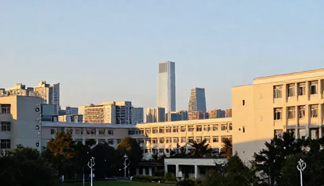 企业官网定制:如何选择适合自身业务的网站架构